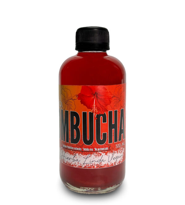 KOMBUCHA DE JAMAICA