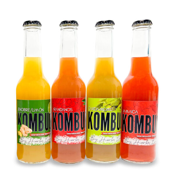 Kombucha Artesanal 100% Natural  Mix Sabores - 4 Pack, 275 ml