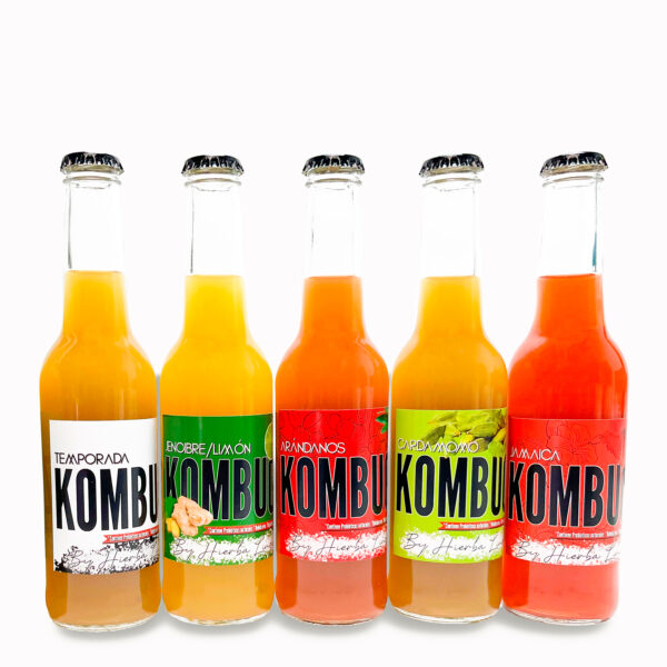 Kombucha Artesanal 100% Natural  Mix Sabores - 5 Pack, 275 ml