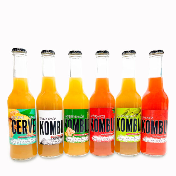 Kombucha Artesanal 100% Natural Mix Sabores + Ginger Beer 6 Pack, 275 ml